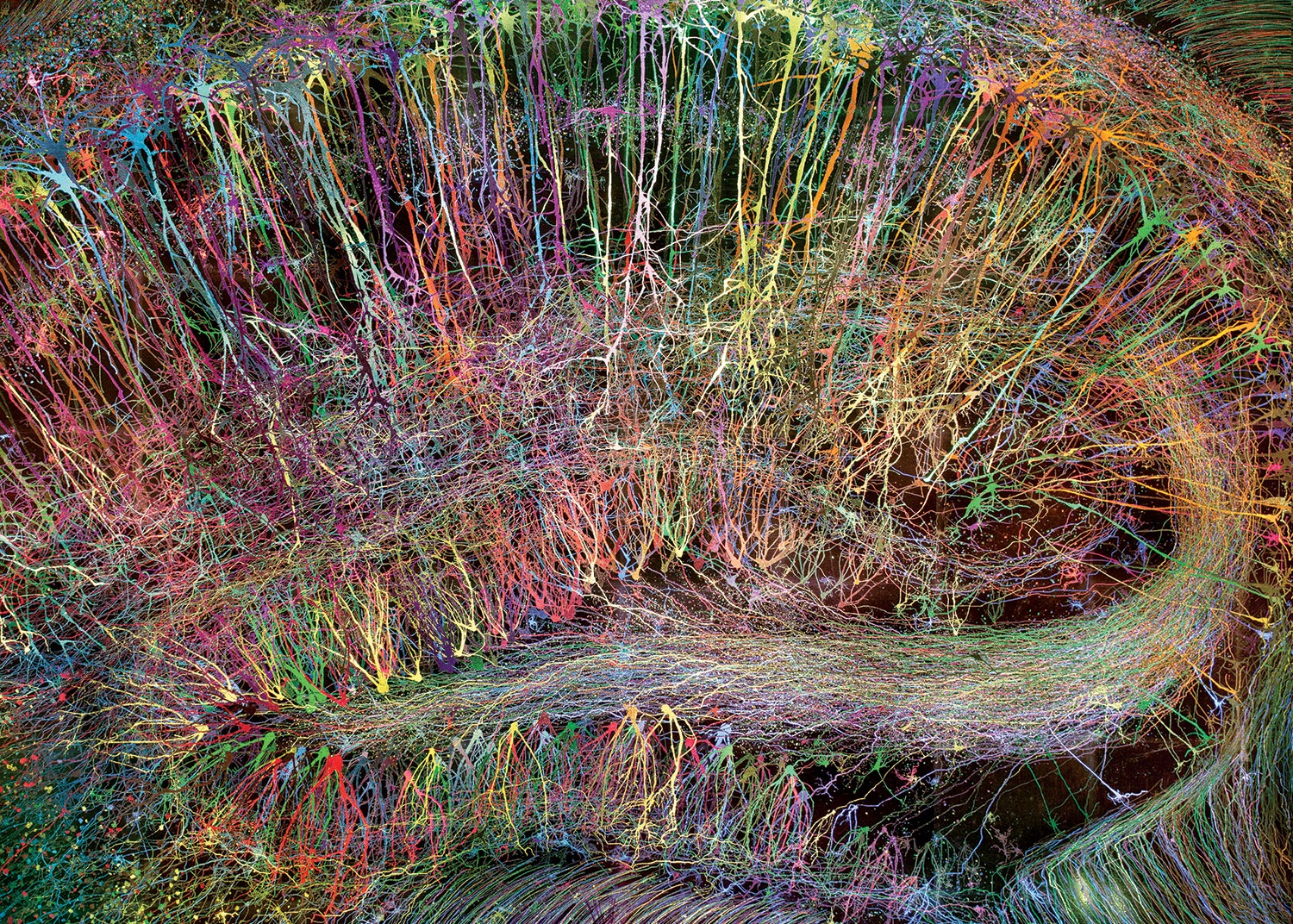 Нейросеть самая красивая. Снимки головного мозга Greg Dunn. Нейрографика Грег Данн. Грег Данн Нейроны. Нейронная сеть мозга.